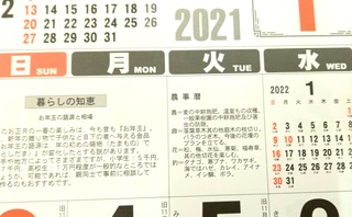 20201201_103922.jpg