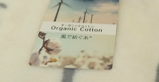 20250328_130941.jpg